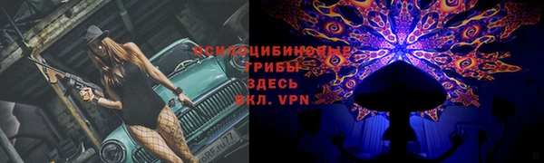 apvp Иноземцево