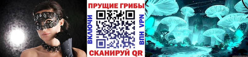 Галлюциногенные грибы мицелий  MEGA сайт  Долгопрудный 