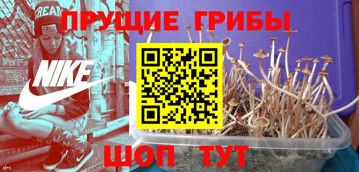 Галлюциногенные грибы MAGIC MUSHROOMS Долгопрудный